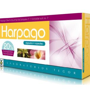 Foto de HARPAGO  40 CAPSULAS TEGOR